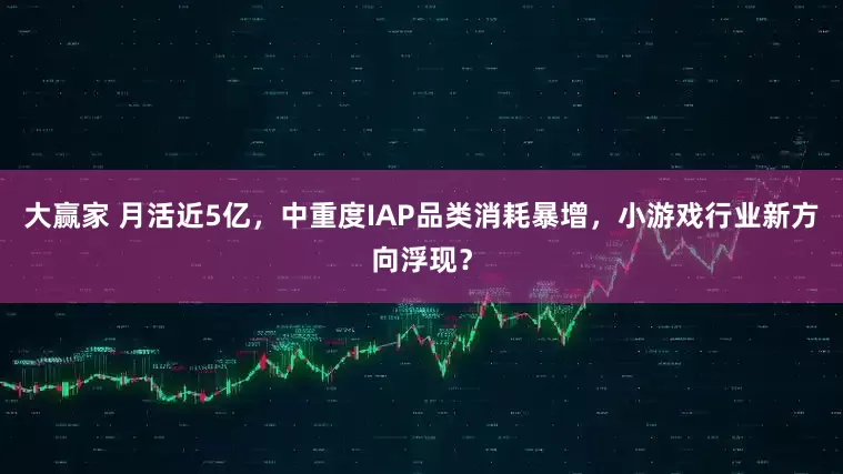 大赢家 月活近5亿，中重度IAP品类消耗暴增，小游戏行业新方向浮现？