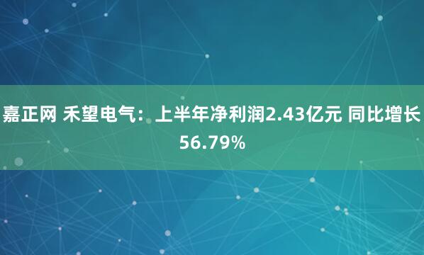 嘉正网 禾望电气：上半年净利润2.43亿元 同比增长56.79%
